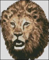 Male Lion Head