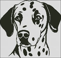 Dalmatian Head