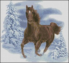 Horse in Snow