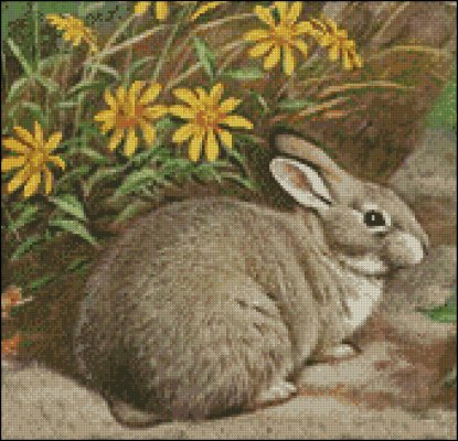 (image for) Rabbit and Daisies