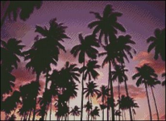 Sunset Palms