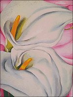 Two Calla Lilies