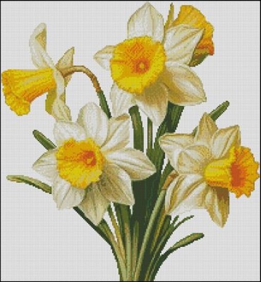 (image for) A Posy of Daffodils