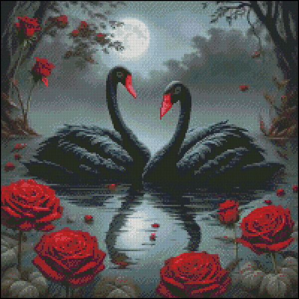 (image for) Black Swans in Moonlight