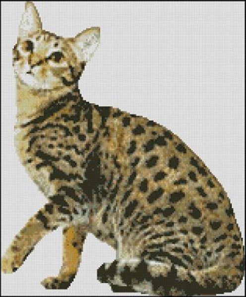(image for) Ocicat Cross Stitch Pattern